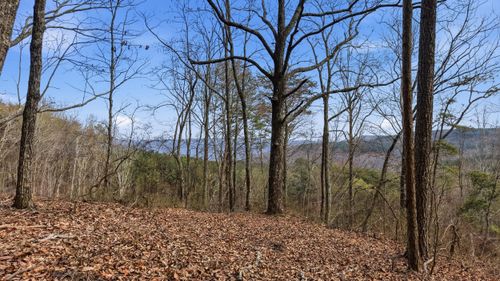 Lot 2154 Fallen Oak Pass, Guild, TN, 37340 | Card Image