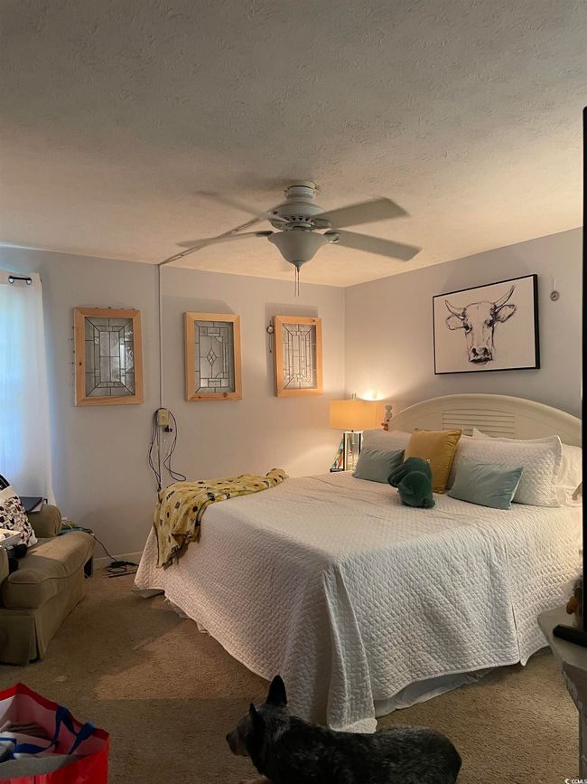Carpeted bedroom featuring a textured ceiling and a ceiling fan | Image 13