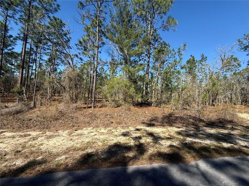 Lot 5 Se 130th Ct, Dunnellon, FL, 34431 | Card Image