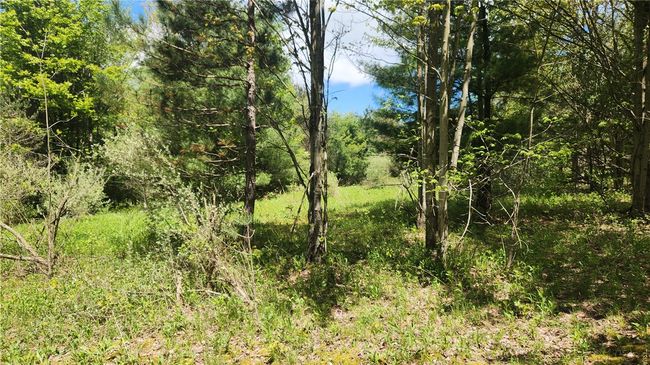 6291 Burke Rd, Home with 0 bedrooms, 0 bathrooms and null parking in Prattsburgh NY | Image 32
