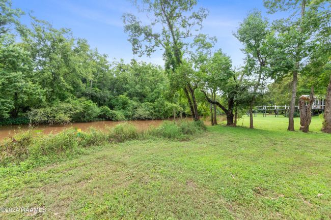 Bayou | Image 35