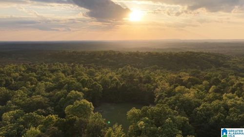 1-900 Mountain Drive, Remlap, AL, 35133 | Card Image