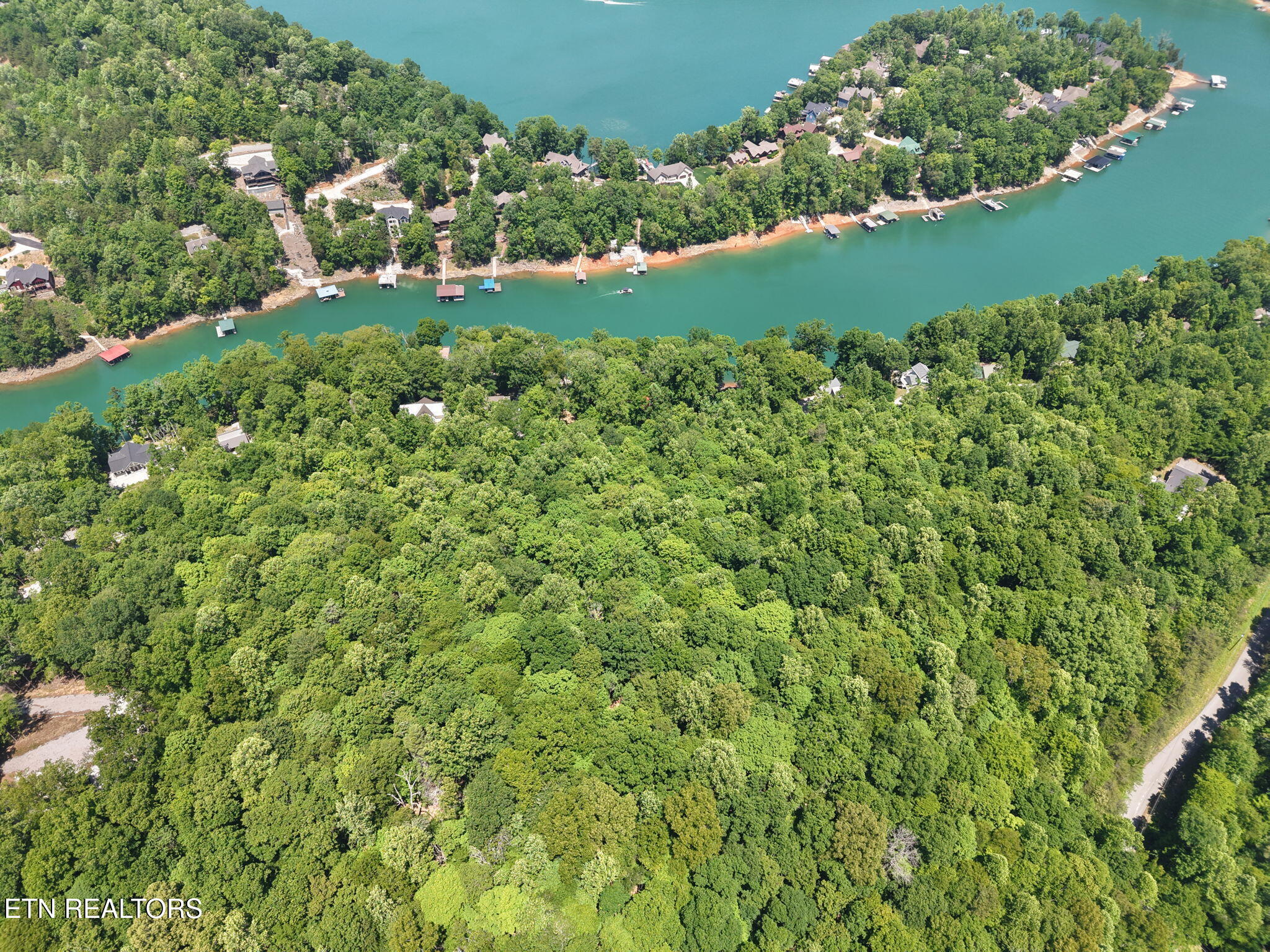 Land in Jacksboro 3