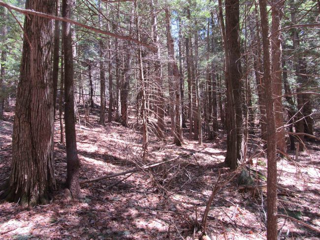 58 - 0 Stratton View Road, Home with 0 bedrooms, 0 bathrooms and null parking in Winhall VT | Image 9