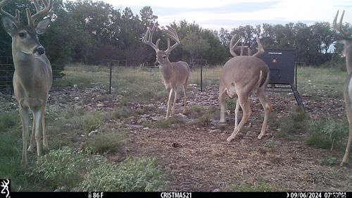 Lot 15 Contrary Creek Ranches, Rocksprings, TX, 78880 | Card Image