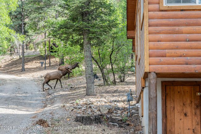901 Main Rd, House other with 4 bedrooms, 3 bathrooms and null parking in Ruidoso NM | Image 48