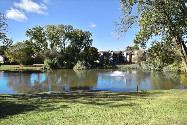 Peaceful Setting | Image 26