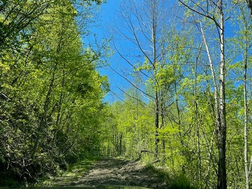 9999 Hooker Branch Rd, Barbourville, KY, 40906 | Card Image