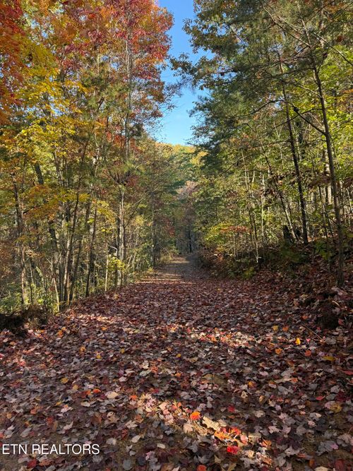 425 Smokey Rd, Rutledge, TN, 37861-5259 | Card Image