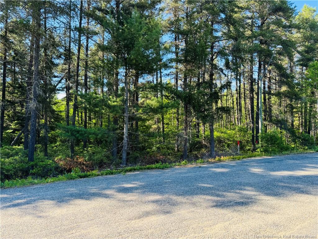 Land in Miramichi 4