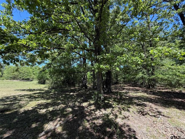 72 Acres N Farm Road 900, Home with 0 bedrooms, 0 bathrooms and null parking in Saltillo TX | Image 26