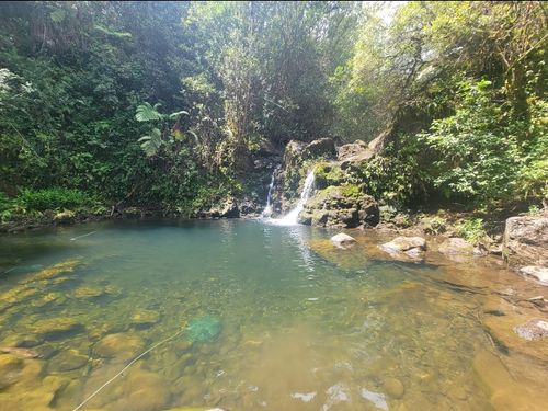 32-2471 Stone Rd, Ninole, HI, 96773 | Card Image