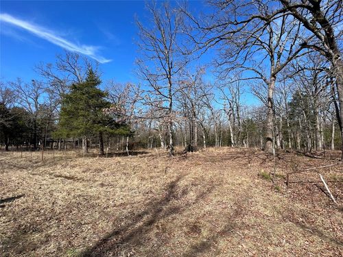 TBD County Road 3376 (Lot 68), Emory, TX, 75440 | Card Image