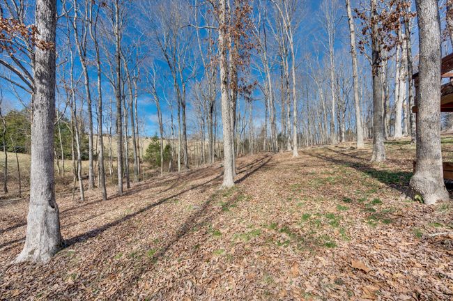 Back Yard | Image 71