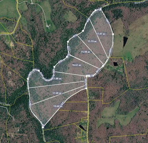 Tract 3 Ervin Brown Road, Sunbright, TN, 37872 | Card Image