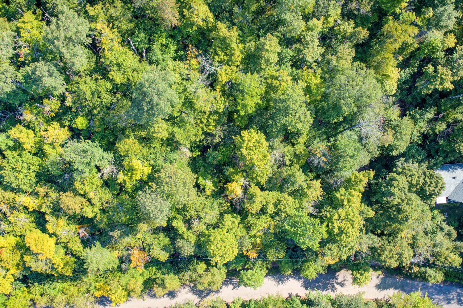 Land in Saint-Sauveur 3