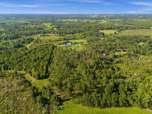 9535 Number Two Rd, Home with 0 bedrooms, 0 bathrooms and null parking in Howey In The Hills FL | Image 13