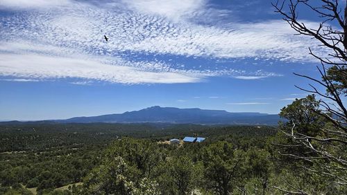 15 Picketwire Rd, Trinidad, CO, 81082 | Card Image