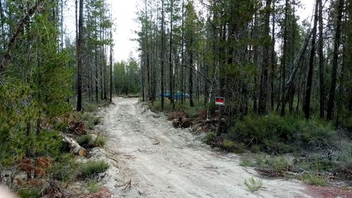 8 Scott View Dr, Chiloquin, OR, 97624 | Card Image