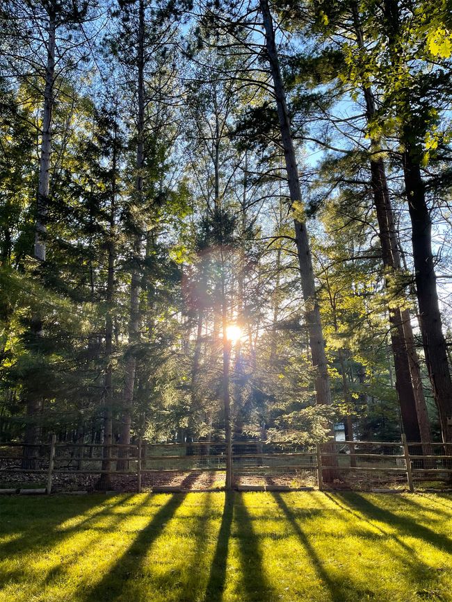 Beautiful Sun Rise | Image 54