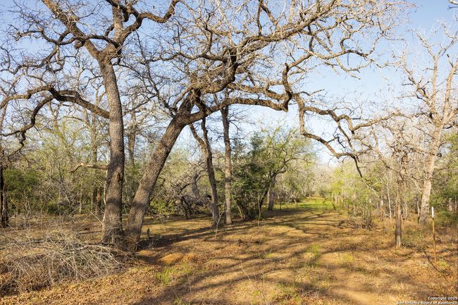 343 Batey Rd, Home with 3 bedrooms, 2 bathrooms and null parking in Nixon TX | Image 30