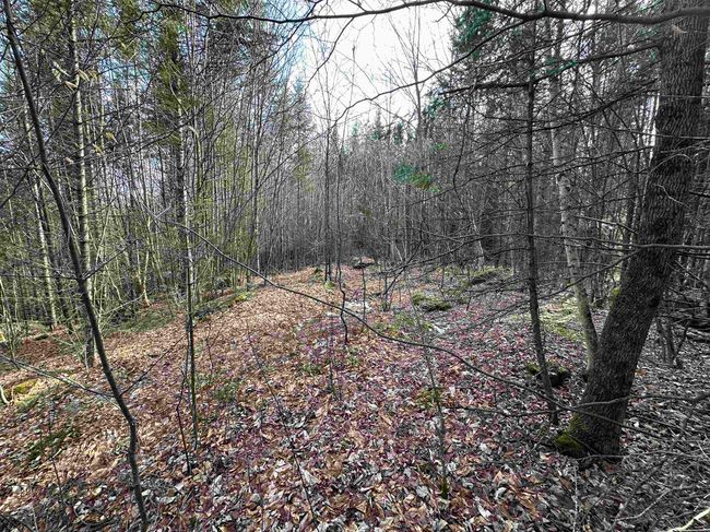 Lot 109 Steeple View Dr, Home with 0 bedrooms, 0 bathrooms and null parking in Bethlehem NH | Image 15
