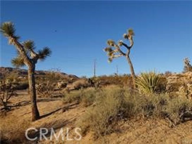 7275 Saddleback Rd, Home with 0 bedrooms, 0 bathrooms and null parking in Joshua Tree CA | Image 13