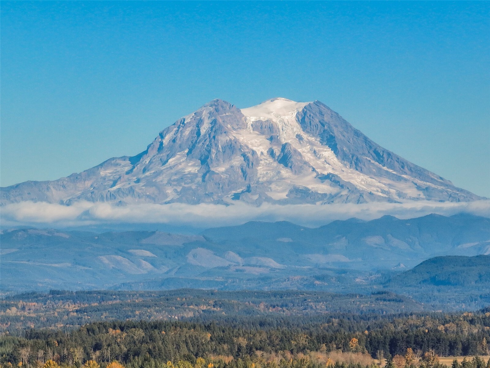 Residential in Yelm 4