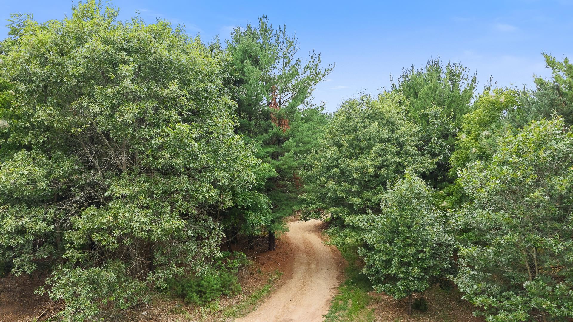 Land in Montello 2
