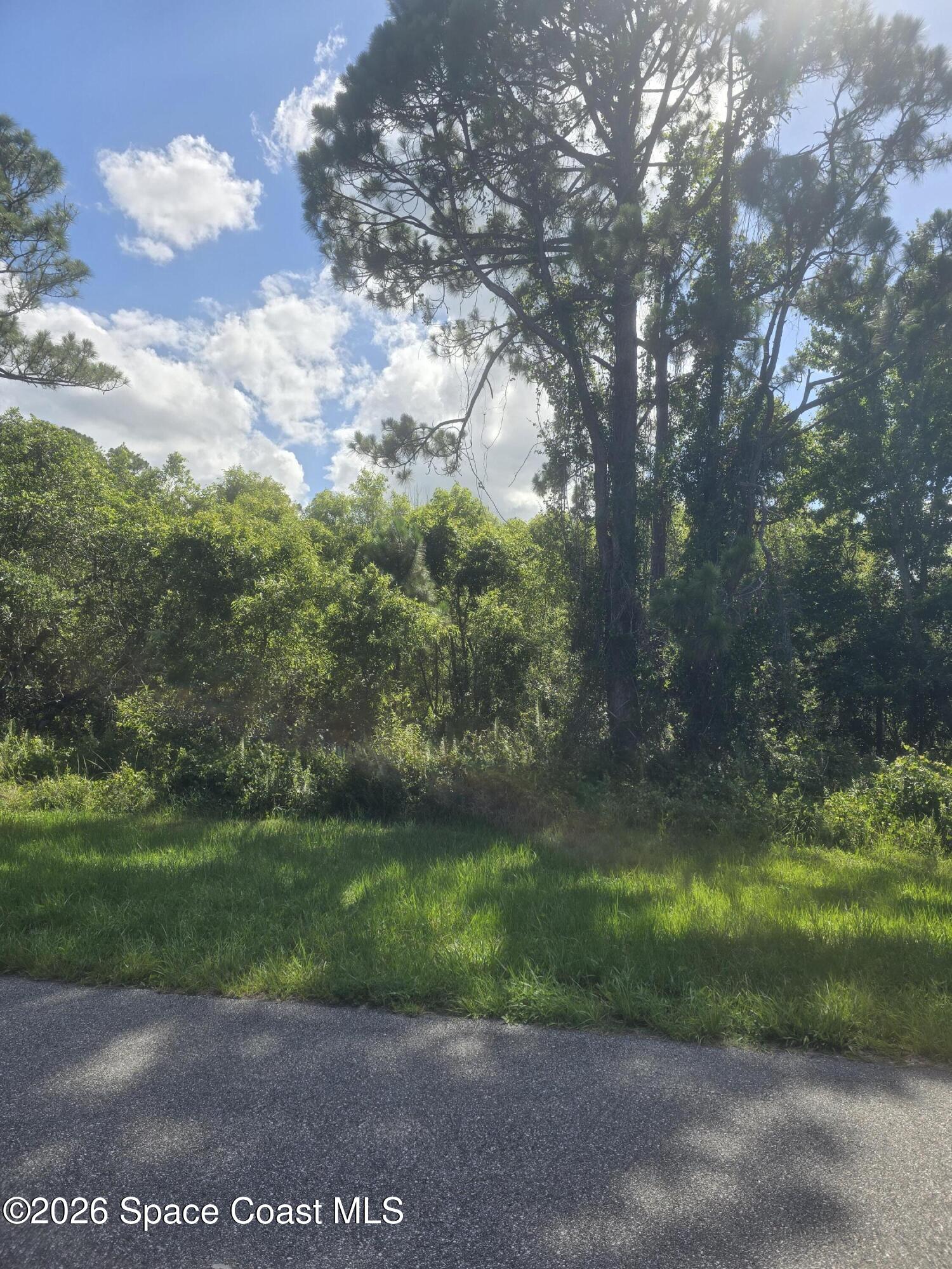Land in Titusville 5