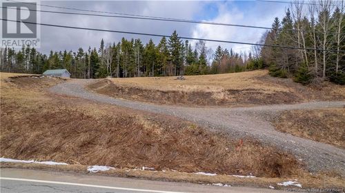 {{alt}} | Card Image