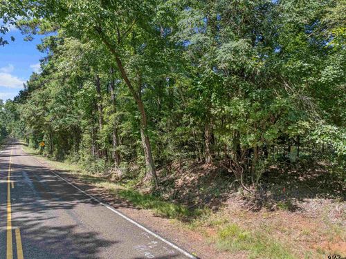 TBD Fm 225 S, Laneville, TX, 75667 | Card Image