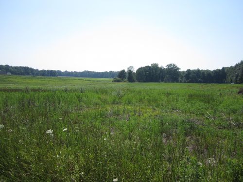 0 Blackmer Rd, Ravenna, MI, 49451 | Card Image