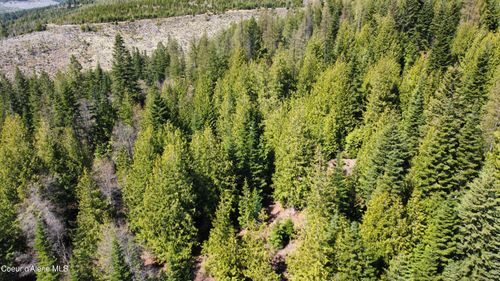 NKA Alder, Saint Maries, ID, 83861 | Card Image