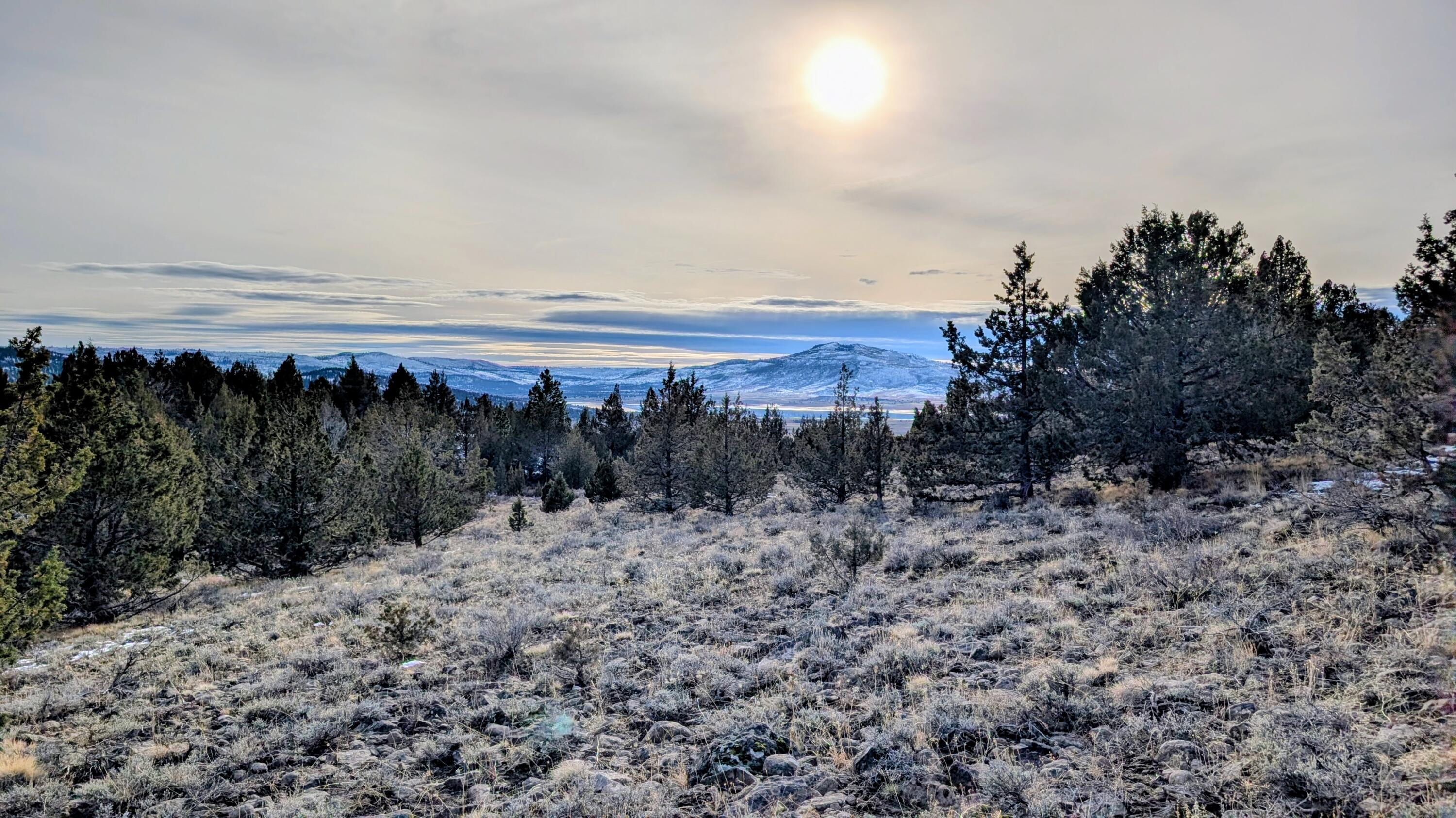 Land in Lakeview
