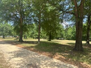 Land in Augusta 5