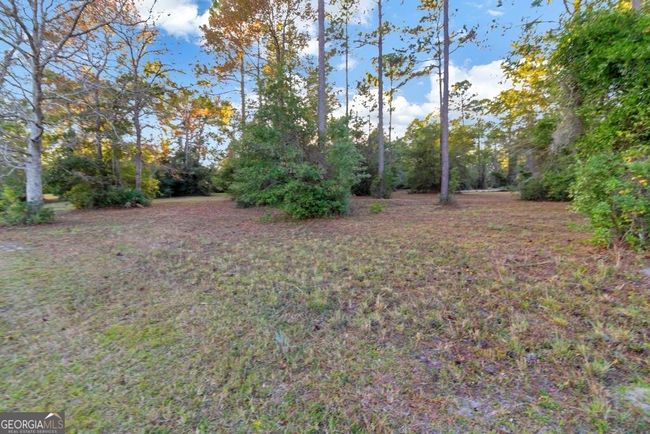 LOT-71 - 0 Coopers Point Dr Ne, Home with 0 bedrooms, 0 bathrooms and null parking in Townsend GA | Image 5