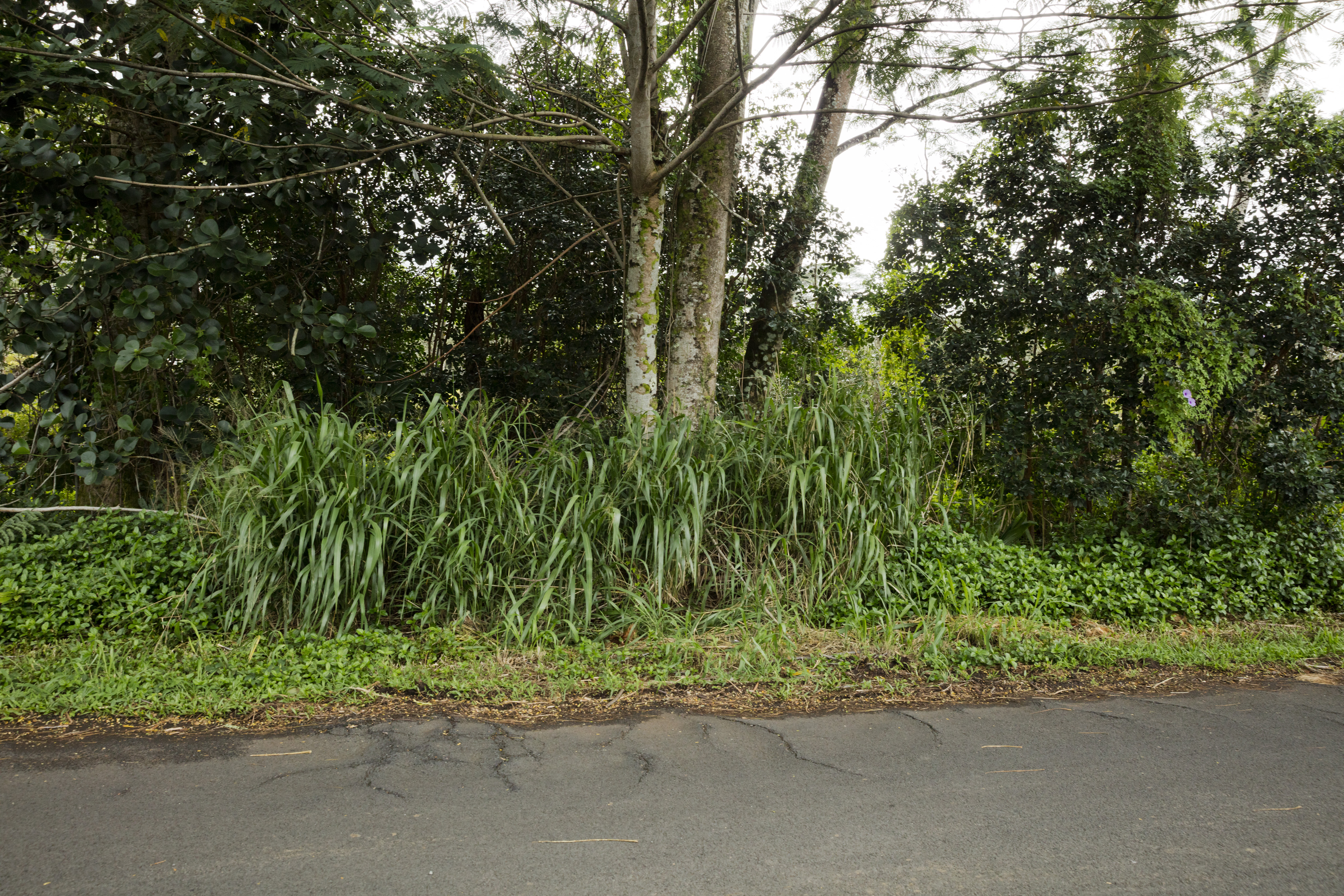 Land in Keaau 5