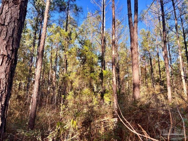 Lot 2-RS Hwy 182, Home with 0 bedrooms, 0 bathrooms and null parking in Jay FL | Image 10