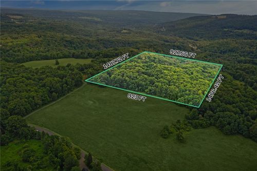 0 Slators Lane Lane, Newfield, NY, 14867 | Card Image