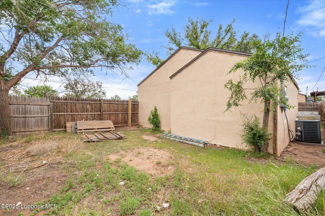 Backyard #2 | Image 19