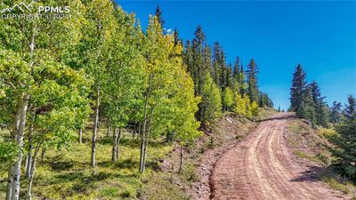 72 Troy Way, Home with 0 bedrooms, 0 bathrooms and null parking in Cripple Creek CO | Image 2