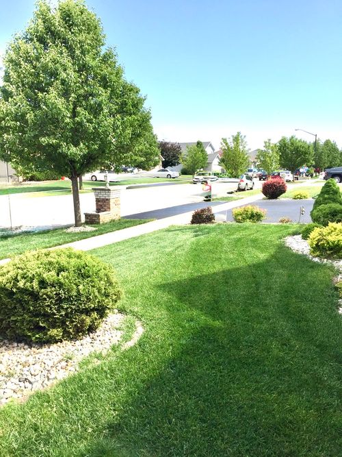 1873 Claire Dr, Bourbonnais, IL, 60914-5043 | Card Image