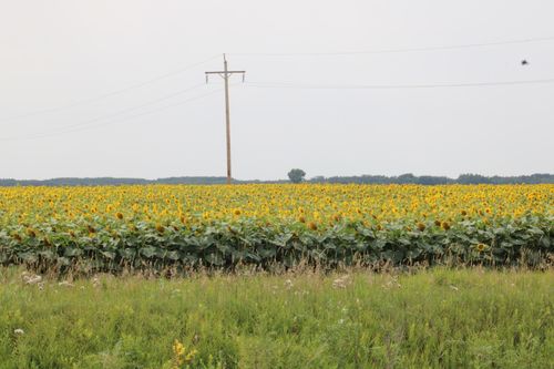 000 State Highway 219 Ne, Goodridge, MN, 56725 | Card Image