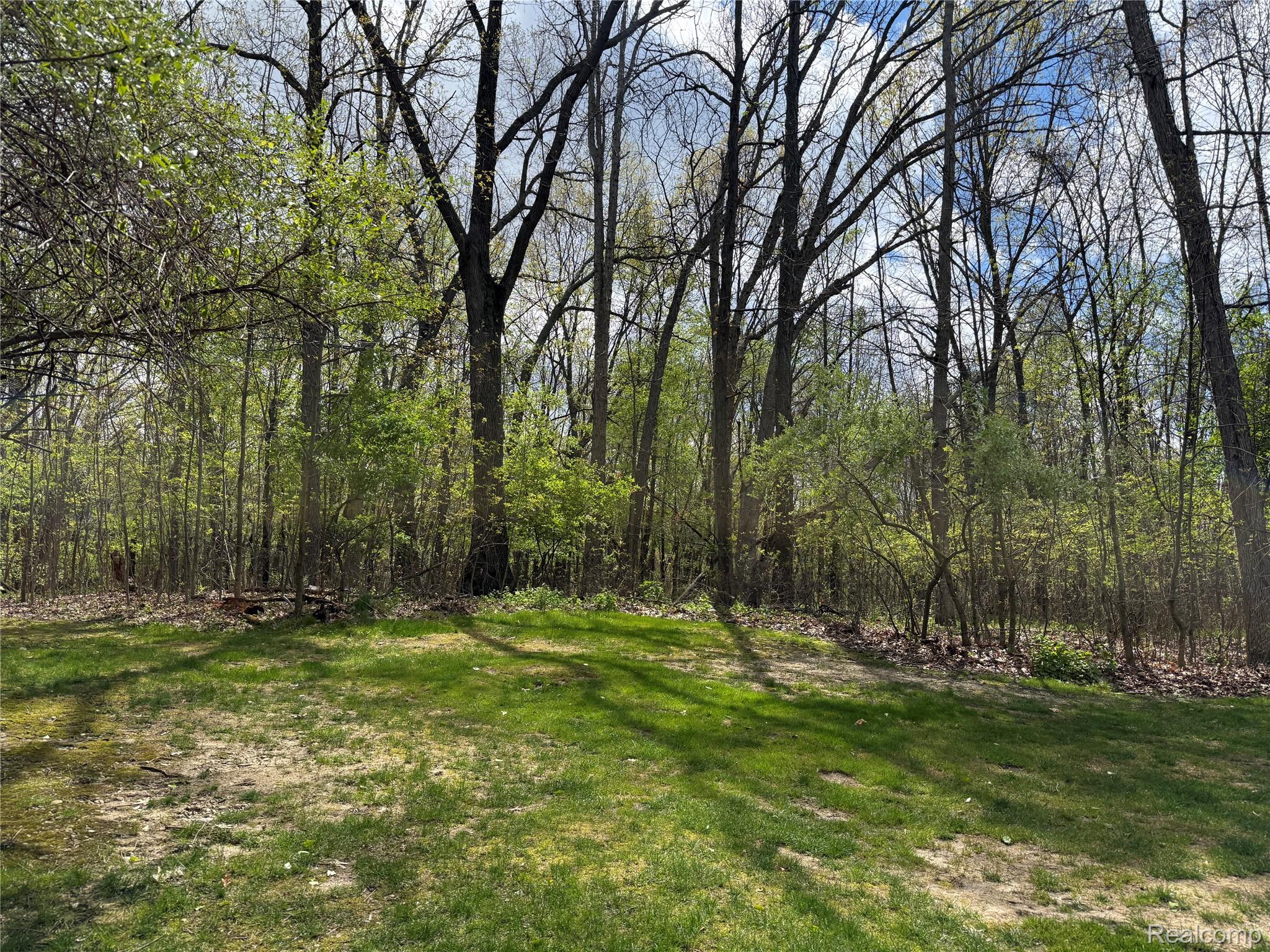 Land in Tyrone Township 3