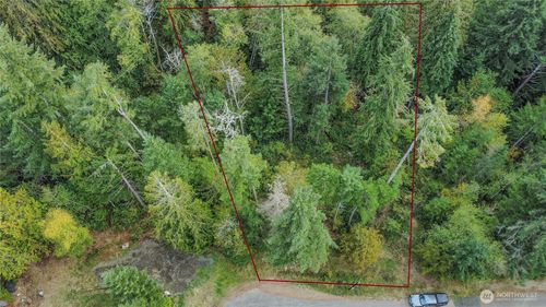 220 E Peebles Ct, Shelton, WA, 98584-9681 | Card Image