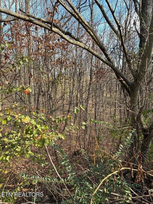 00 Poplar Drive Lot 31 Drive, Sweetwater, TN, 37874 | Card Image