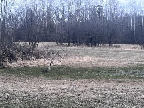 Lt2 Virginia Drive, Manitowoc, WI, 54220 | Card Image