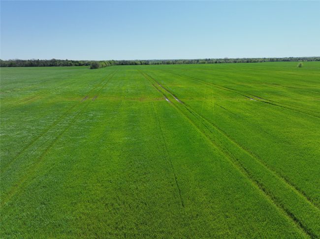 1 County Road 26850, Home with 0 bedrooms, 0 bathrooms and null parking in Petty TX | Image 4