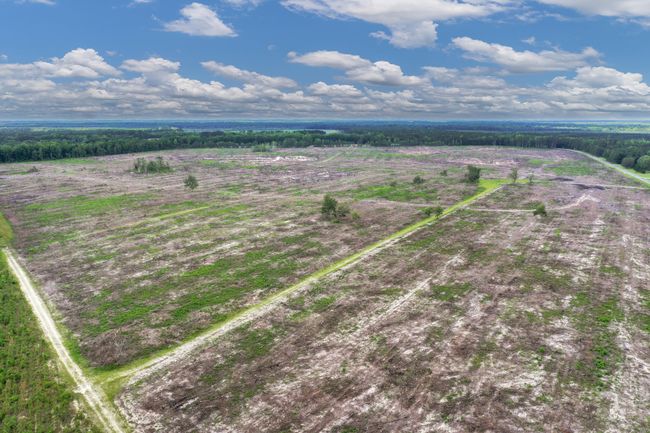 DJI_0474 | Image 9